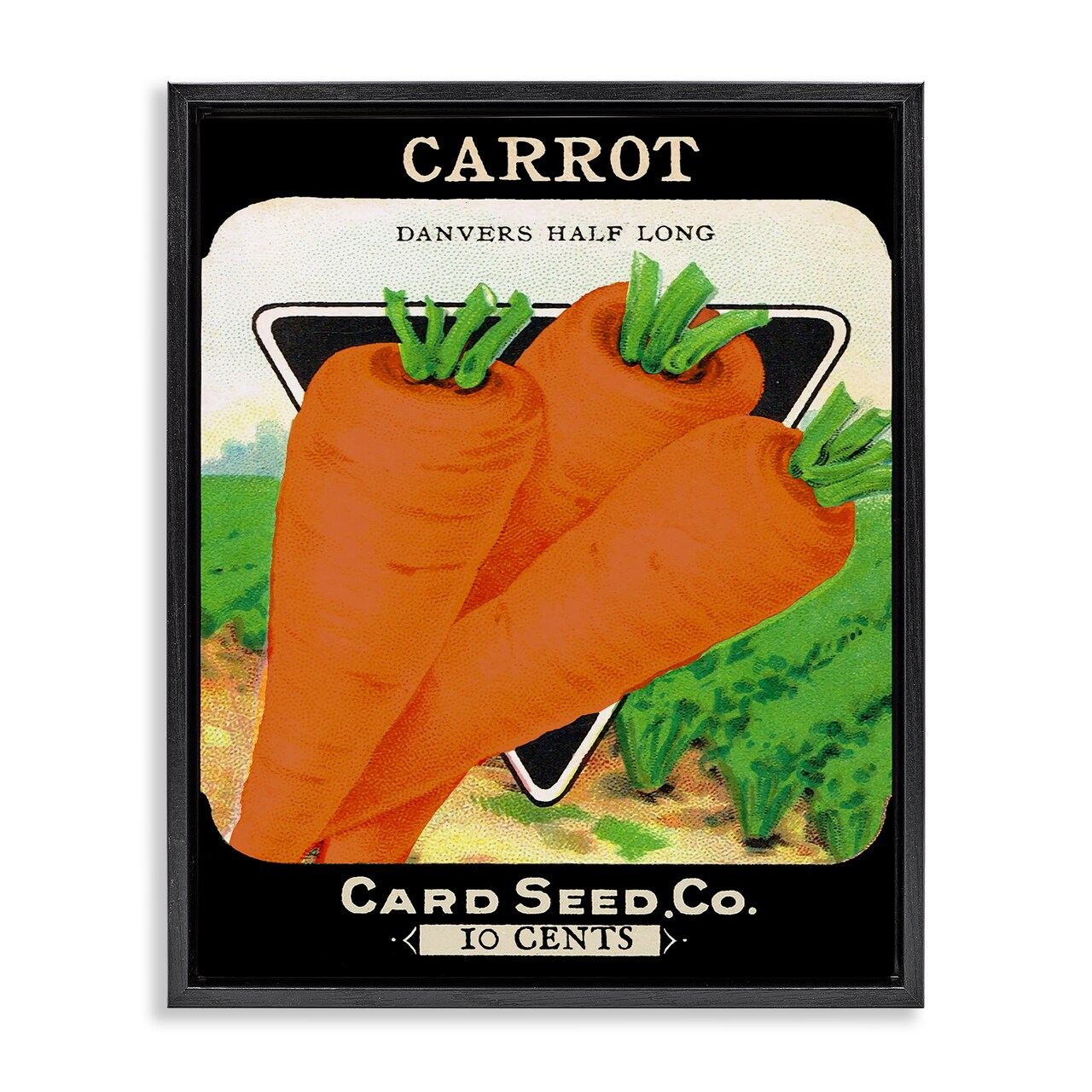 Stupell Industries Vintage Garden Carrots Floating Frame Design by Lil' Rue